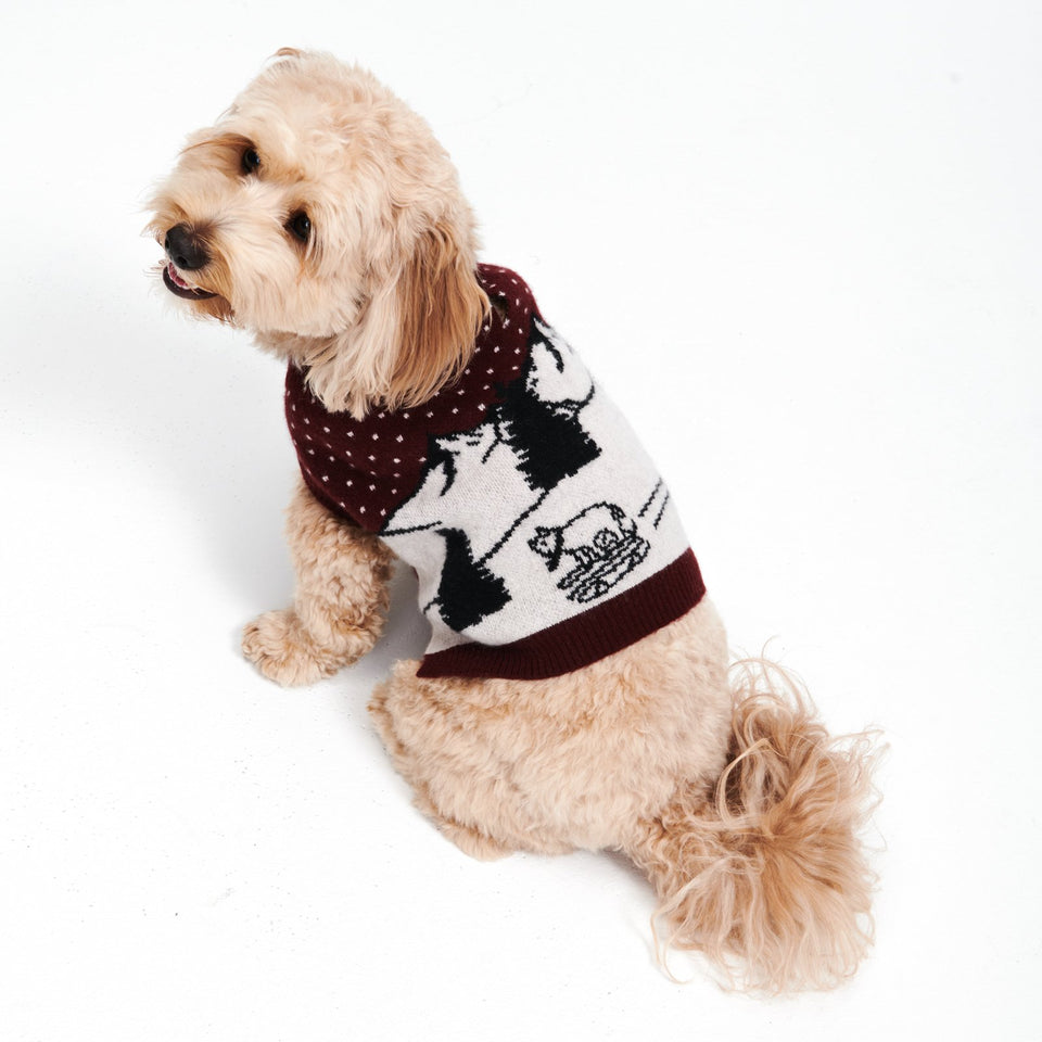 Cashmere Sledding Goat Dog Sweater