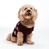 Reversible Cashmere Snowflake Dog Sweater