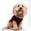 Cashmere Holiday Dog Sweater