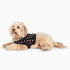 Heart Cashmere Dog Sweater